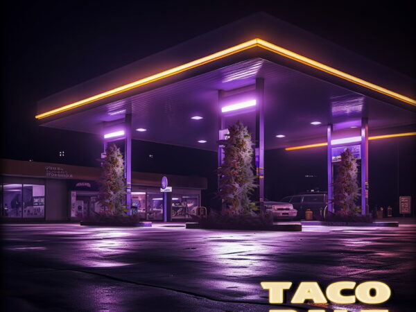 T. Boogie (@TBOOGIEfromDC) F/ AMOGetItDone (@AMOGetItDone) – “Taco Bale” | Prod by @weneedkapitol