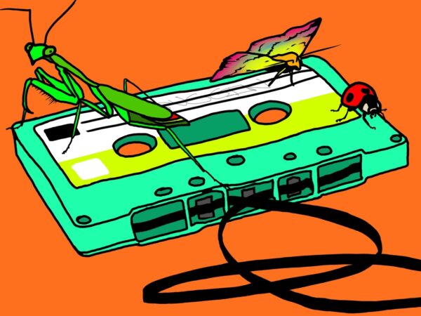 COLAMP feat. Blu, Katie Burke, Relic Fox – “Buggin”