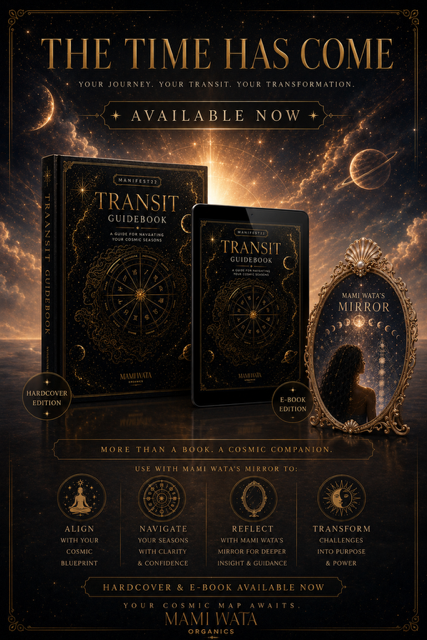 Ashlee Ray’s Second Book Goes Where the First One Couldn’t: Inside the Transits That Shaped Her Life